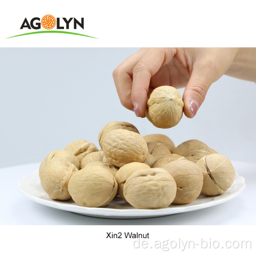 New Crop hochwertige geschälte rohe Xin2-Walnüsse